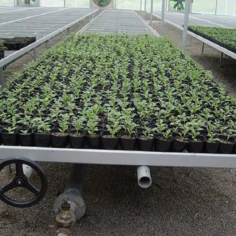 Flood Tray Table - Bewegliche Vermehrungs-Überschwemmungs- und Abtropftabelle, Ebb- und