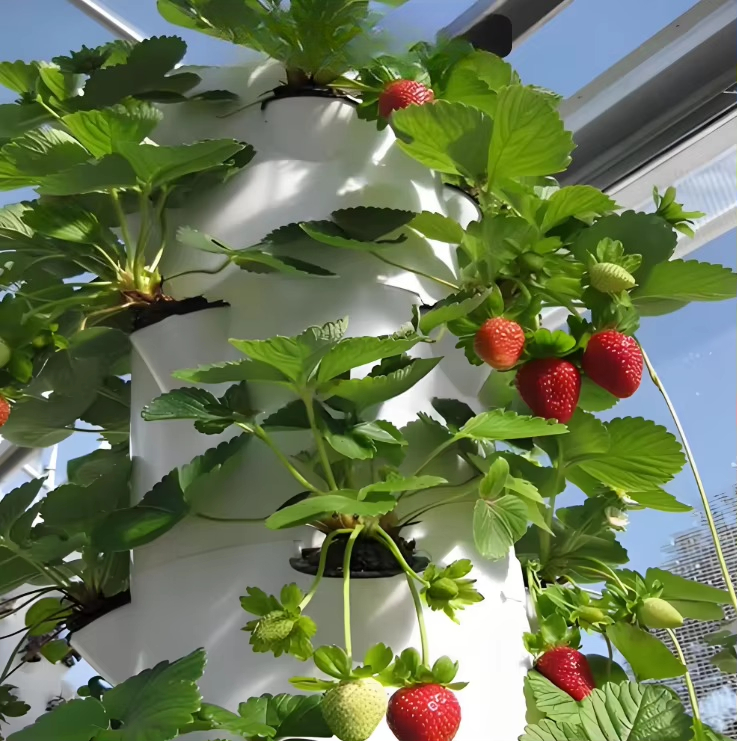 Modulares Hydroponik-Wachstums – Urban Farming Gardening Bewertung und Preis