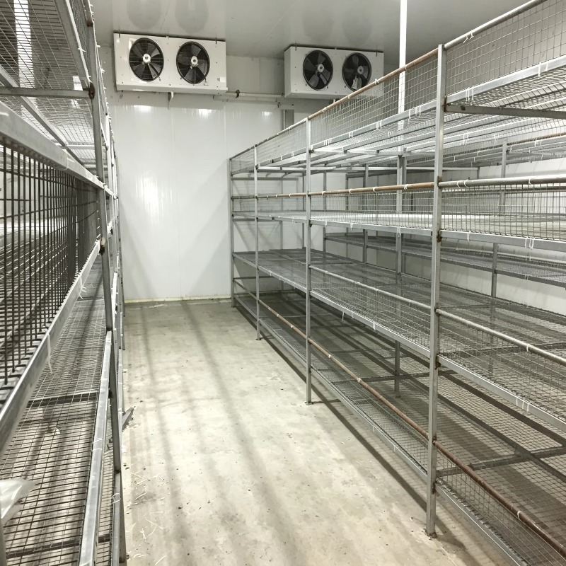 Hydroponische Containerfarm mi – Urban Farming Hydroponic System Bewertung und Preis